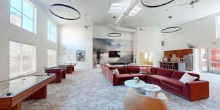 Larch Alderwood Gallery 1