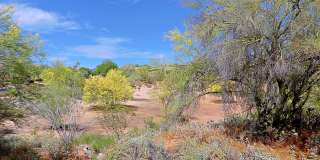 7122 E ALOE VERA Drive Gallery 33