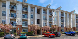 21216 MCFADDEN Square Gallery 2