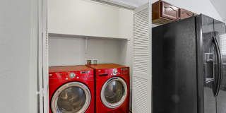 2305 Honey Dew Gallery 28