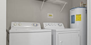 Edens Edge Gallery 13