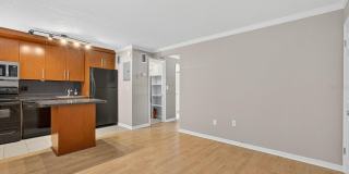2507 E CENTRAL BOULEVARD Gallery 4