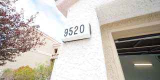 SHOWINGS AVAILABLE NOW Gallery 1