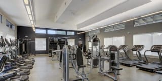 Park Pointe Gallery 22