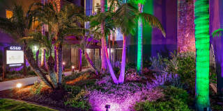 Penthouse Gallery 4