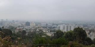 Hillside Terrace Gallery 87