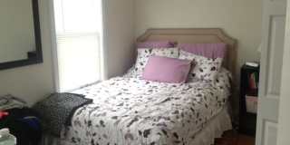 Charming 3 Bedroom-No Broker Fee Gallery 7