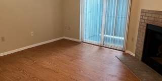 Hyde Park Oaks 106 - 1 Bed 1 Bath Gallery 1