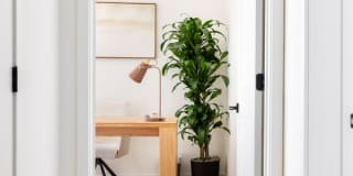 The Estelle: Elevated Amenities and Design ~ NOW OFFERING LIMITED-TIME LEASING SPECIALS! Gallery 320