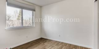 Stunning 3-Bedroom Forest Grove Home with Fireplace, Fenced Yard & Garage Gallery 11