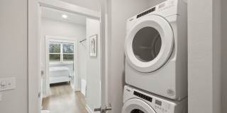 Ascend at Woodlands Gallery 49