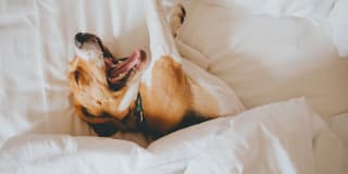 Windemere at Sycamore Highlands Gallery 25