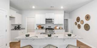 Welcome to 255 Sweet Cherry Lane – Summerville, SC Gallery 1