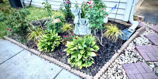 42439 MALACHITE Terrace Gallery 24