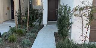 2074 Wild Wood Gallery 2