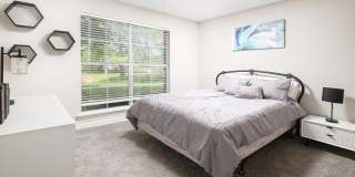 Windsor Lake Gallery 8