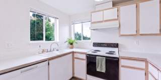 Scott Mountain Apartments Gallery 25