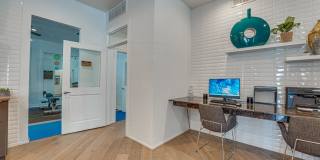 Vue Live Oak Gallery 22
