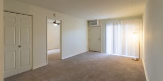 College Woods Gallery 35