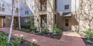 The Village at Town Center Gallery 6