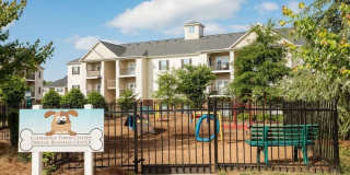 Clemmons Town Center Gallery 20