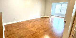 6461 Borasco Dr Gallery 8