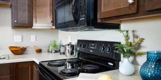 University Commons Gallery 16