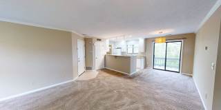 5321 Stonemeadow Ave - Unit D Gallery 6