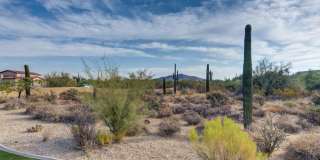 29705 N 69th Place Gallery 30