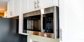 Paugus Woods Gallery 12