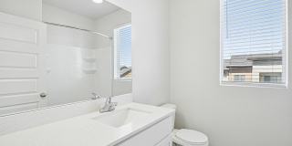 Carrington Square Gallery 73