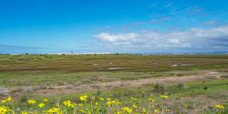 512 Heron Lane - 1 Gallery 14