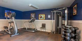 Midtown on 1st Gallery 41