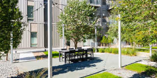 The Fenley Gallery 53