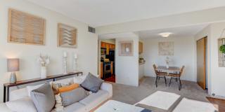 Americana Lakewood Apartments Gallery 4