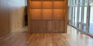 Silver Maple Stunning Gallery 5