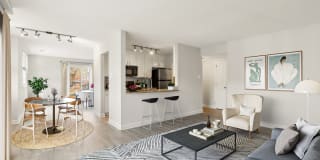 Ellicott Grove Gallery 1