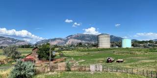 Claradon Village Gallery 25