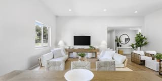Palm Trace Landings Gallery 15