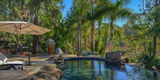 2535 Hawks Nest Trail Gallery 2