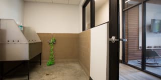 Pinnex Gallery 46