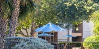 1801 E Palm Valley Blvd, #1102 Gallery 2