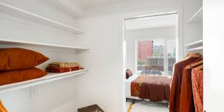 The Noble Gallery 25