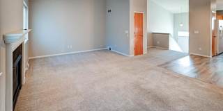 5146 Great Gray Drive Gallery 1