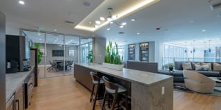 Essence Essence Gallery 25