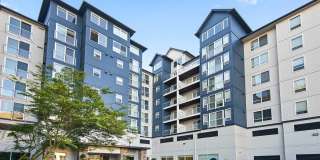 Apex Apartments Gallery 4