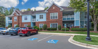 Mallard Glen Gallery 42
