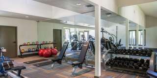 Larkspur Courts Gallery 4