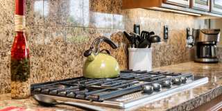 55120 Tanglewood Gallery 22