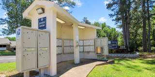 The Gallery Apartment Homes Gallery 27